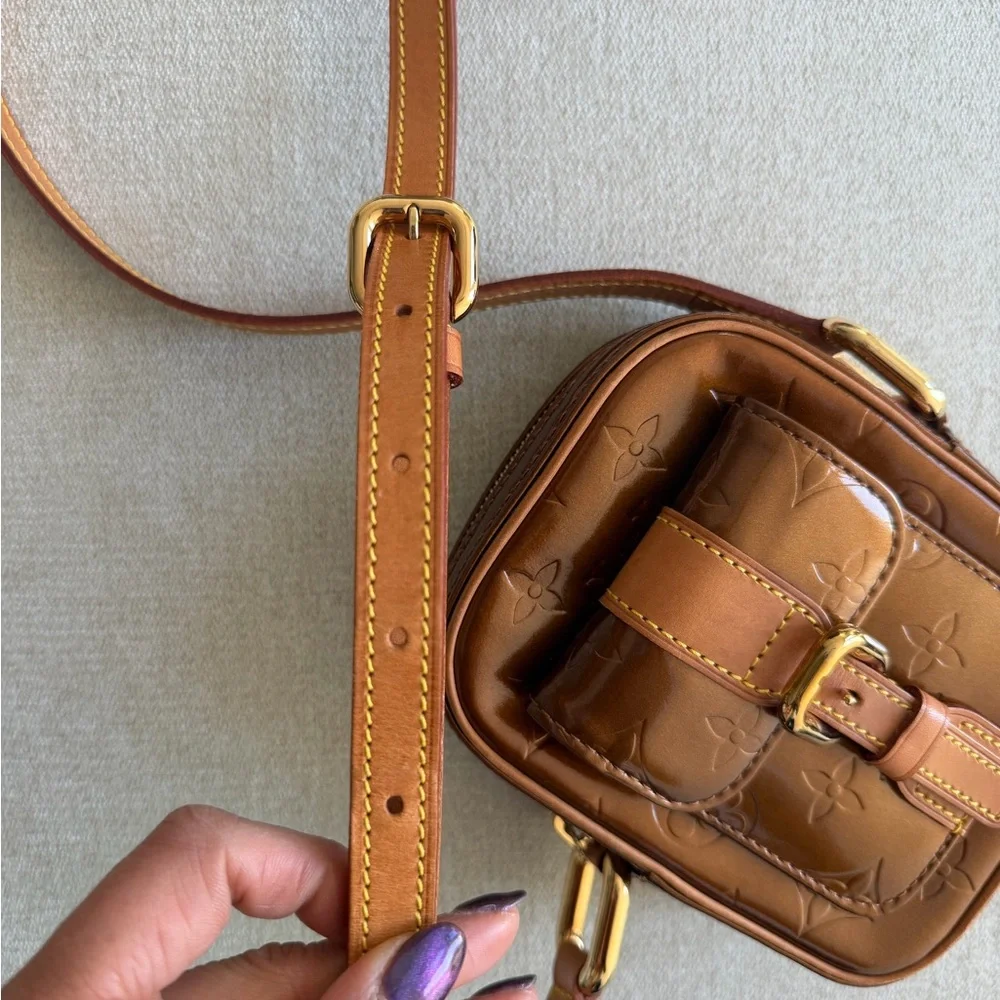Louis Vuitton stylish brown